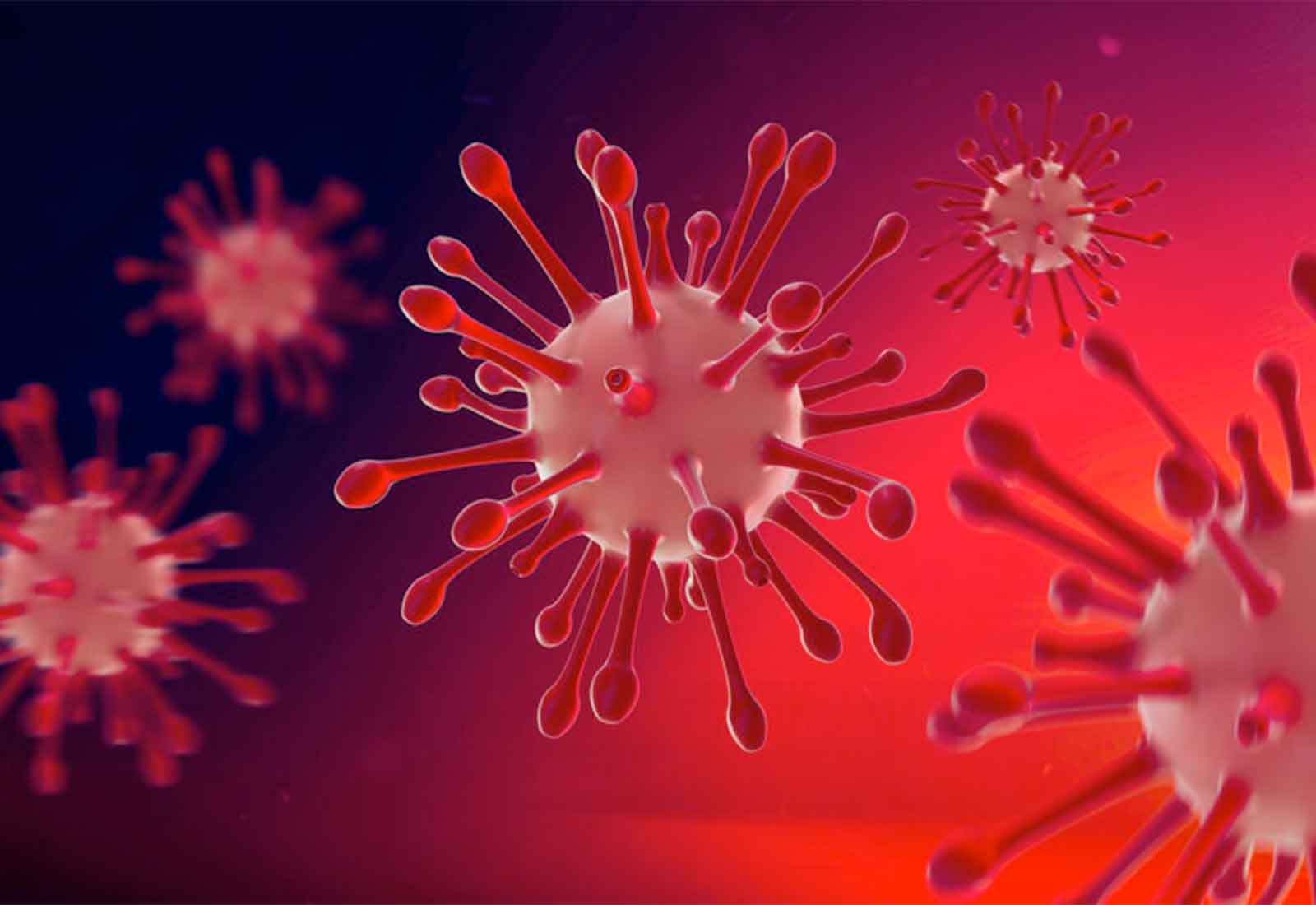 Woolcock Scientists Innovate & Collaborate to Fight COVID-19